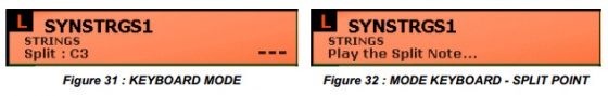 Fig31.jpg