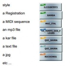 Fig51a.jpg